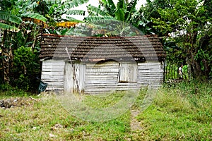 Wooden shed, house or Shack photo