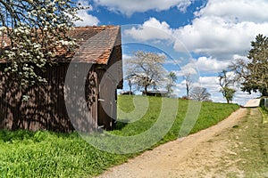 Wooden shed on a meadow with blooming Tree