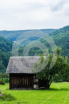 A wooden shed near the forest