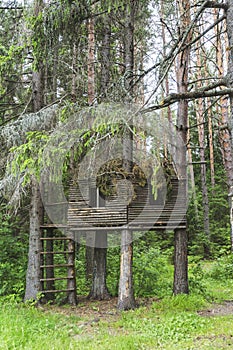 Wooden shed on tree in forest.