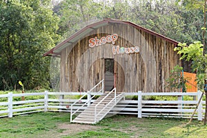 Sheep house in a farm