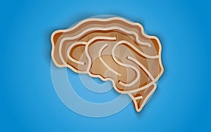 Wooden shelf in the form of the brain
