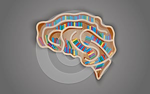 Wooden shelf in the form of the brain with books