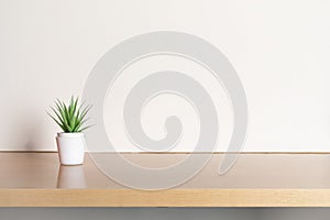 Wooden shelf in light tones, with a green plant pot