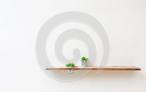 Wooden shelf on white wall with green plant.