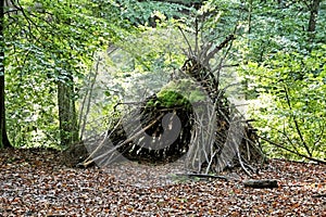 Wooden shelter of branches covered by moss