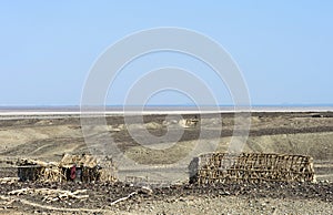 Wooden shelters of Afar people photo