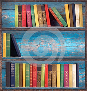 Wooden shelves with books