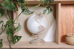 Wooden shelving unit with stylish globe and houseplant on color wall. Interior accessories