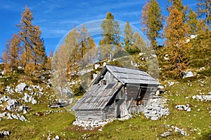 Wooden shepards hut at OvÄarija mountain pasture in Julian alps