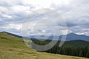 Wooden shepherds houses on pasture in the spruce forest and mountain landscape in the backgroud