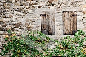 Wooden shutters above vines on stone wall