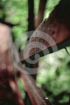 Wooden side handle on steps down a forest path