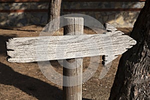 Wooden sign with arrow in stand in the forest under a tree