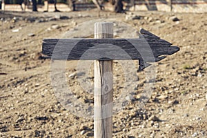 Wooden sign with arrow in stand in the forest under a tree