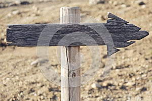 Wooden sign with arrow in stand in the forest under a tree