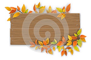 Wooden sign with autumn tree branch