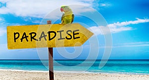 Wooden sign on beautiful beach and clear sea wit text paradise. A green parrot sits on a pointer to a tropical paradise