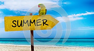 Wooden sign on beautiful beach and clear sea wit text summer. A green parrot sits on a pointer to a tropical paradise