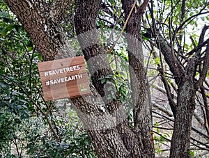 A wooden sign board hanging with a tree.