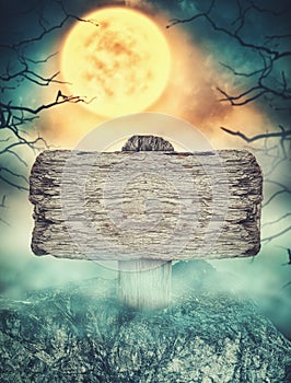Wooden sign in dark landscape with spooky moon. Halloween design