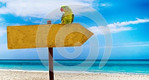 Wooden sign with empty place for your text on a beautiful beach and clear sea . A green parrot sits on a pointer to a tropical