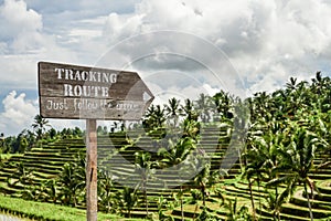 Wooden sign on green rice fields on Bali island