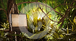 Wooden sign in the jungle