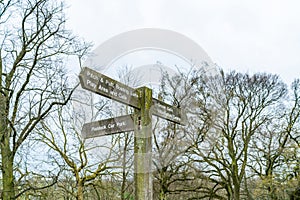 Wooden sign post with directions