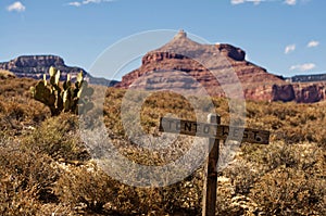 Wooden Sign Post in Grand Canyon