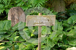 Wooden sign post showing way To Our Bug Hotel in leafy border