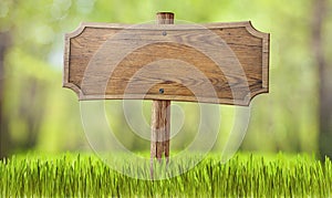 Wooden sign in summer forest grass