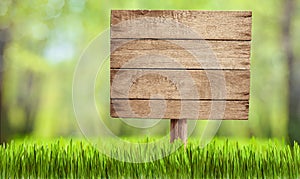 Wooden sign in summer forest, park or garden
