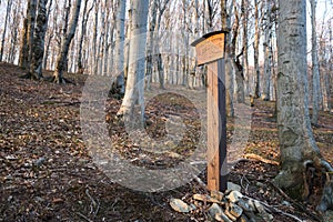 Wooden sign for tourists on nature trail in forest near Loucka, Beskydy, moravian-silesian region, Czech republic, Europe