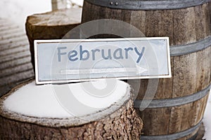 Wooden sign on tree stump with the word February