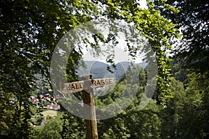 Wooden sign in the woods on a sunny summer day