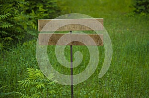 Wooden signage in the forest for direction