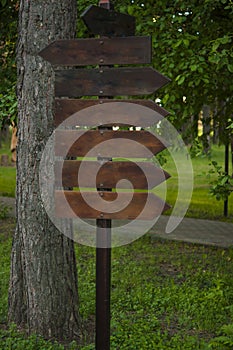 Wooden signage in the forest for direction