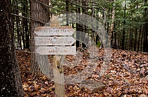 Wooden signpost in Acadia National Park