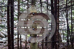 Wooden signpost in Acadia National Park