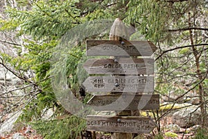 Wooden signpost in Acadia National Park