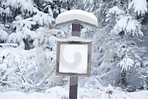 Wooden signpost with empty frame and winter trees