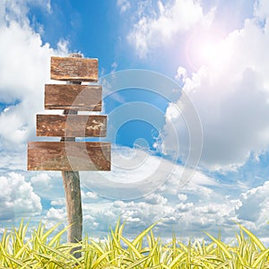 Wooden Signpost with Green grass against blue sky