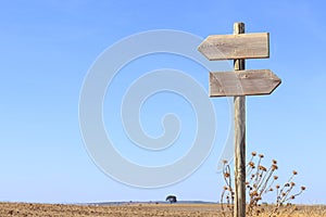 Wooden signpost indicating directions