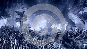 Wooden signpost in a misty night forest