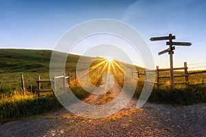 Wooden signpost near a path