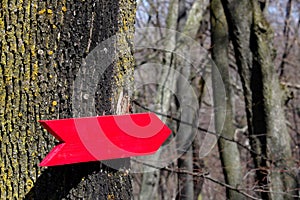 Wooden red signpost photo