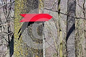 Wooden red signpost photo