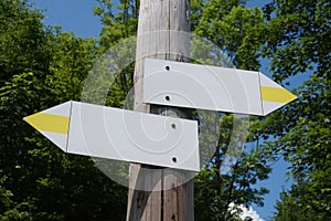 Wooden signpost with two arrows