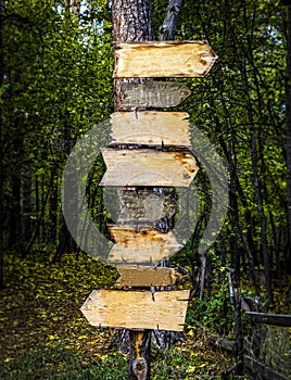 Wooden signposts in the forest